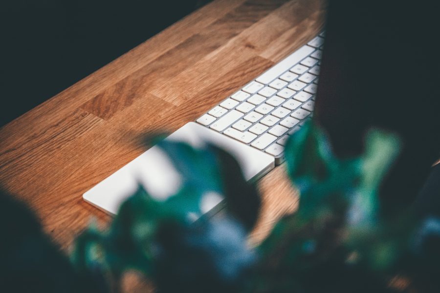 pontus-wellgraf-frZt8AVYdI0-unsplash pontus-wellgraf-frZt8AVYdI0-unsplash